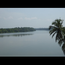 Ein Vorgeschmack auf die Backwaters von Kerala
